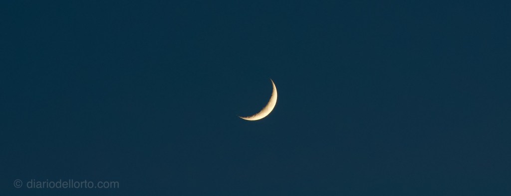 luna e fasi lunari per i lavori dell'orto semine e raccolti